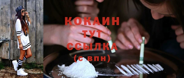 прущая мука Богородицк