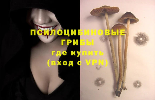 сатива Богородск