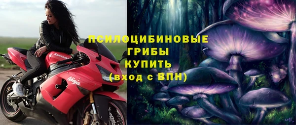 прущая мука Богородицк