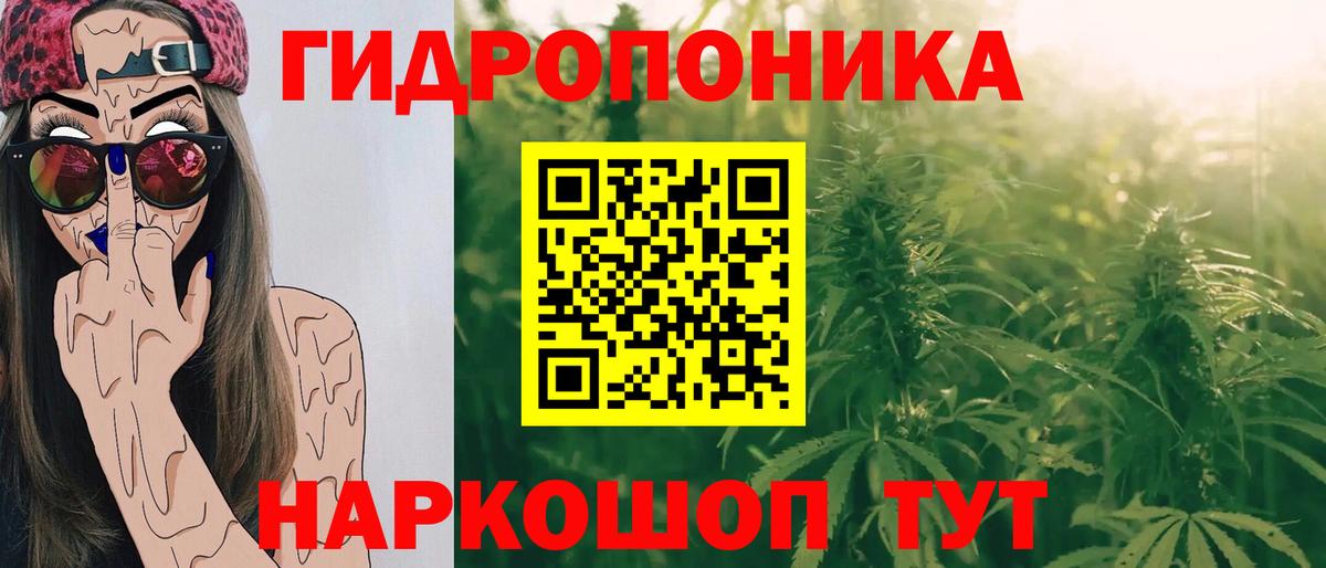 Конопля сатива Гулькевичи